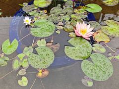 -乌山风景区