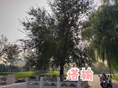 -西海子公园