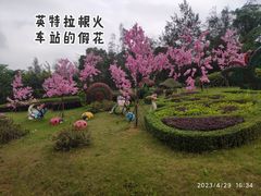 -东部华侨城