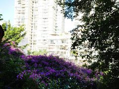 -铁路文化公园