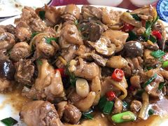 -生态苑农庄(十里画廊遇龙河店)