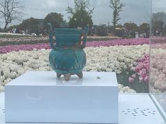 -荷兰花海