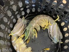 -ZF Seafood Restaurant 卓峰海鲜餐