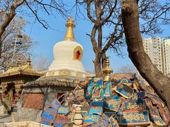 -护国法轮寺