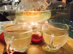 -吉丁鸟咖·异宠·寄养