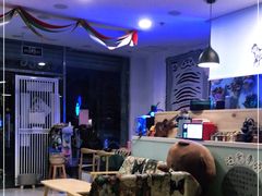 -平行世界·猫咖(首经贸店)