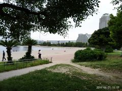 -台场海滨公园船码头