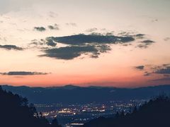-杨家堂村
