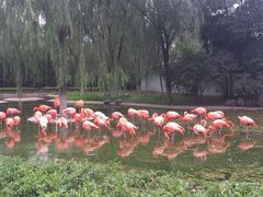 -石家庄市动物园