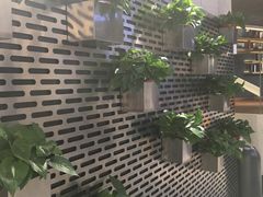 -CoCo都可(360丰产店)