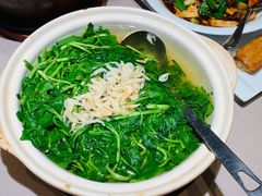 -荣轩(新荣记环球金融中心店)