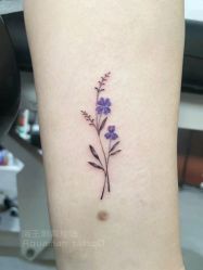 -海王刺青·纹身·穿孔饰品·TATTOO