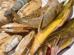 -海韵之星邮轮水会(明发商业广场店)
