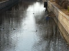 -元大都城垣遗址公园