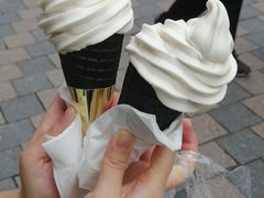 -仙境豆夫(步行街旗舰店)