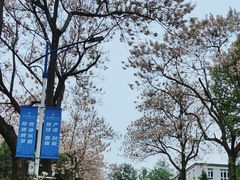 -北京邮电大学