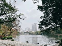 -荔湾湖公园
