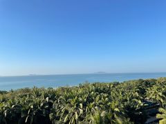 -三亚湾海居雅高铂尔曼度假酒店