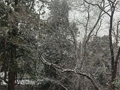 -香山公园