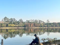 -南国桃园旅游度假区