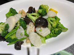 -北平盛世·新京菜·北京烤鸭(劲松·双井店)