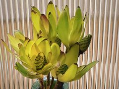 -雕刻时光咖啡馆(北苑店)