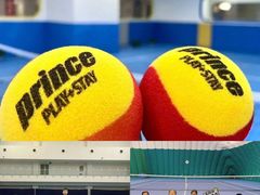 -齐动力网球(国贸店)