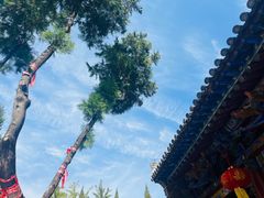 -娲皇宫