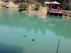 -白马涧龙池景区