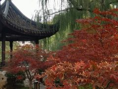 -君庭中餐厅(友谊宾馆店)