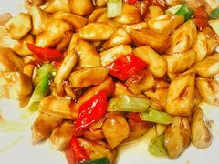 -蔼若春.传承三十年云南菜(金碧公园店)