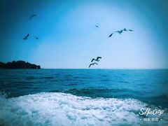 -海驴岛(荣成市)
