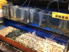 -苏格里岛自助海鲜烤肉(青秀万达店)