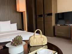 -上海柏悦酒店