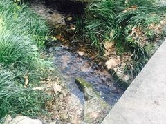-玉女潭景区
