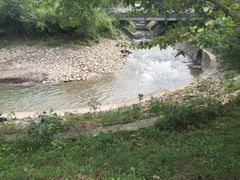 -羊山湖公园