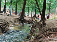 -白水寺森林公园