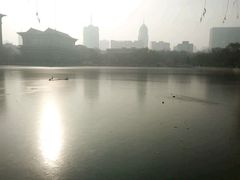-文瀛公园