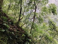 -神龙峡风景区