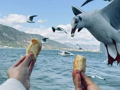 -海埂大坝
