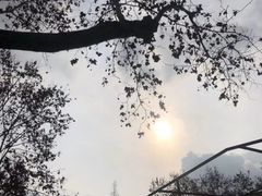 -成都动物园