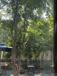 -爱儿美儿童摄影(奥森公园店)