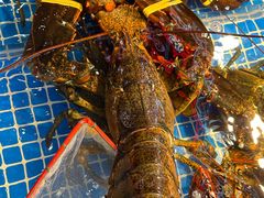 -驻海渔市(置信店)