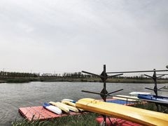 -春花秋色城市公园