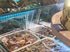 -大哈福烧烤·海鲜·家常菜(延安三路店)