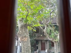 -星巴克臻选(思南公馆店)