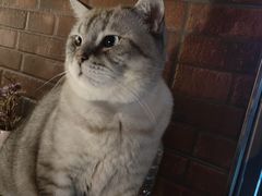 -故遥酒馆.赛事直播