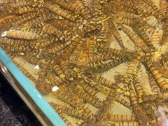 -渔傅·霞浦滩涂海鲜(建平店)