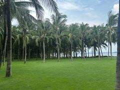 -三亚海棠湾仁恒皇冠假日酒店·大堂吧