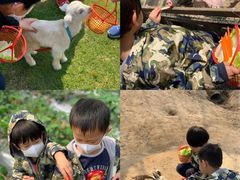 -前小桔亲子创意农场·草莓采摘·露营烧烤